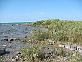 Western Michigan [2010] 822